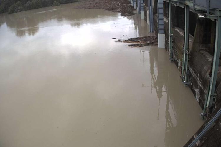 Cassa Panaro invasata