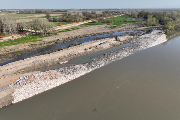 Intervento Rinaturazione area Po - Linea M