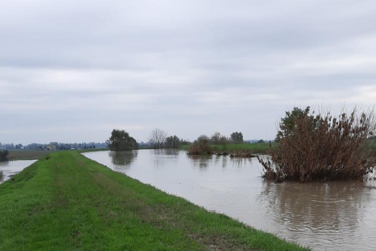 Foto bassa reggiana 20_10_24_