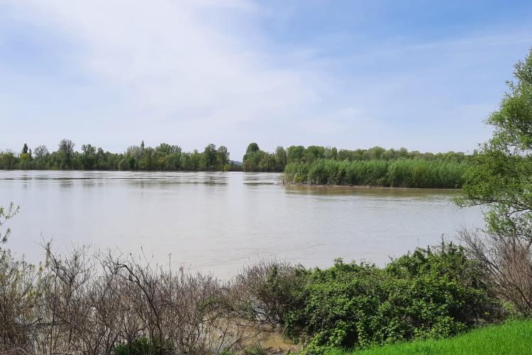 Foto per evento Adria 18_07_2025_0