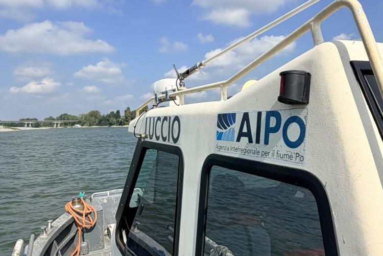 AIPo